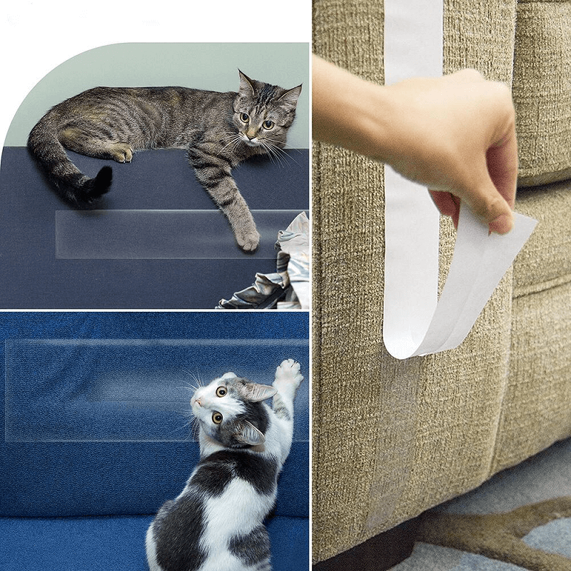 cat training tape application